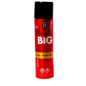 DRY SHAMPOO SALON GRAFIX 150g